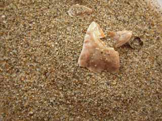 Isla Canela, Ayamonte